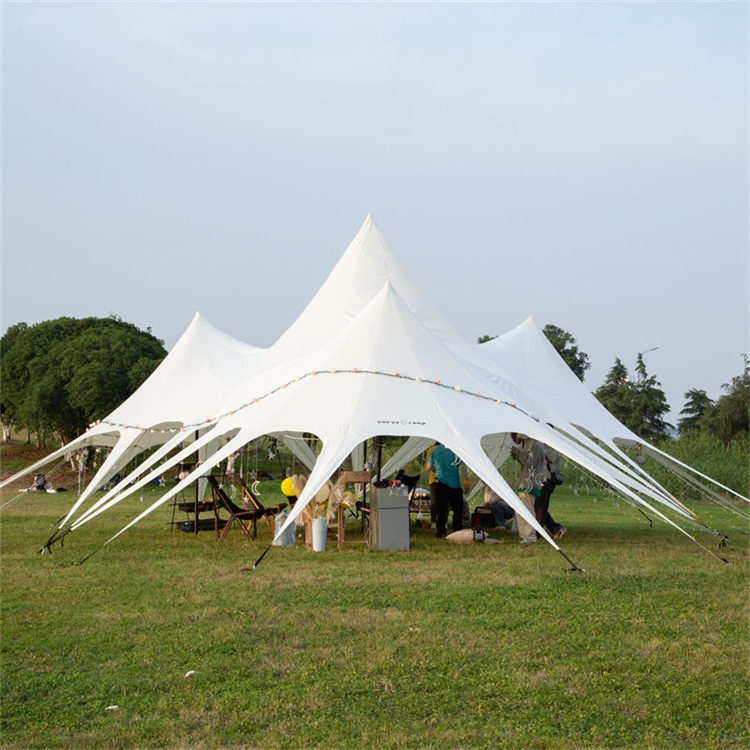 Outdoor Camping Canopy Shade Tent